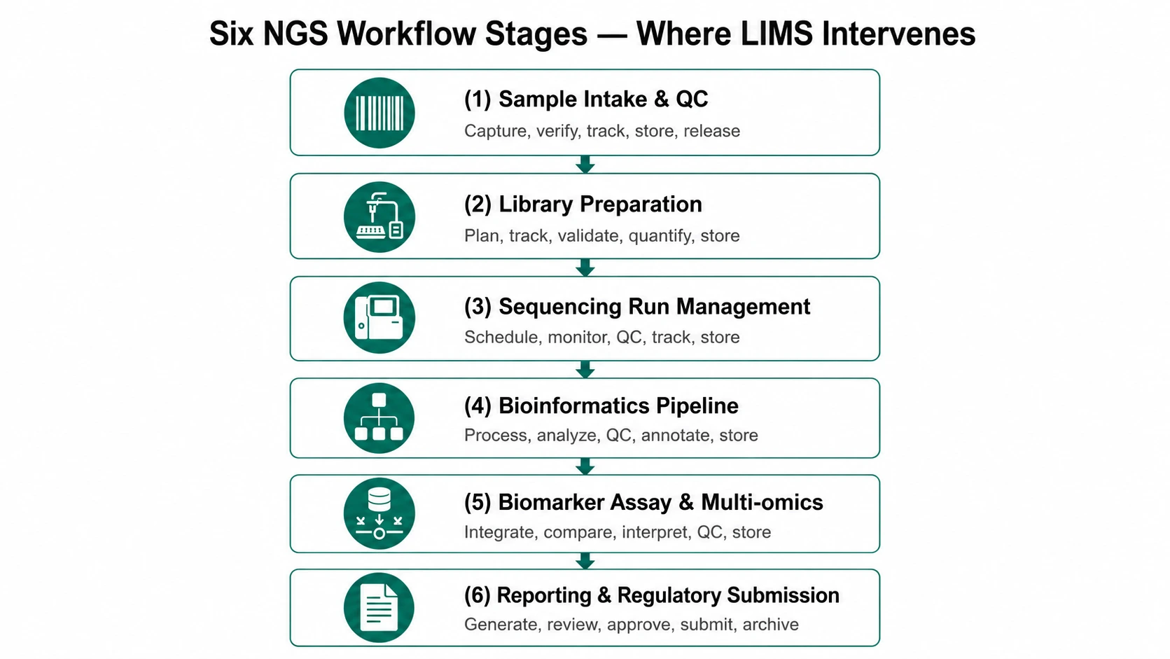 Six NGS workflow stages where LIMS intervenes - from sample intake to regulatory submission