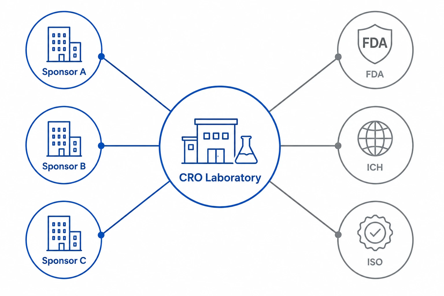 Hub and spoke diagram showing three sponsors connecting to a central CRO laboratory, which in turn serves FDA, ICH, and ISO regulatory frameworks