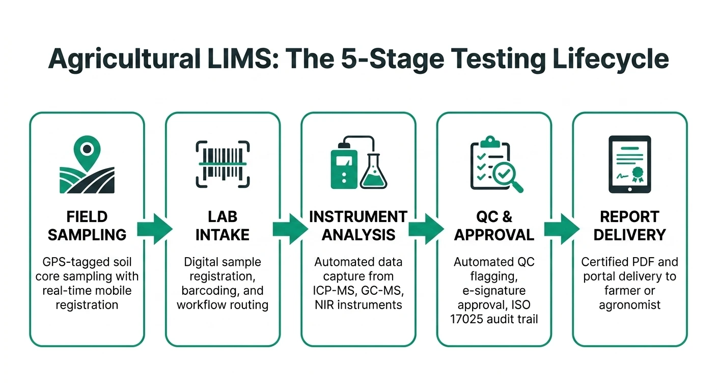 Agricultural LIMS testing lifecycle diagram showing five stages from field sampling to certified report delivery