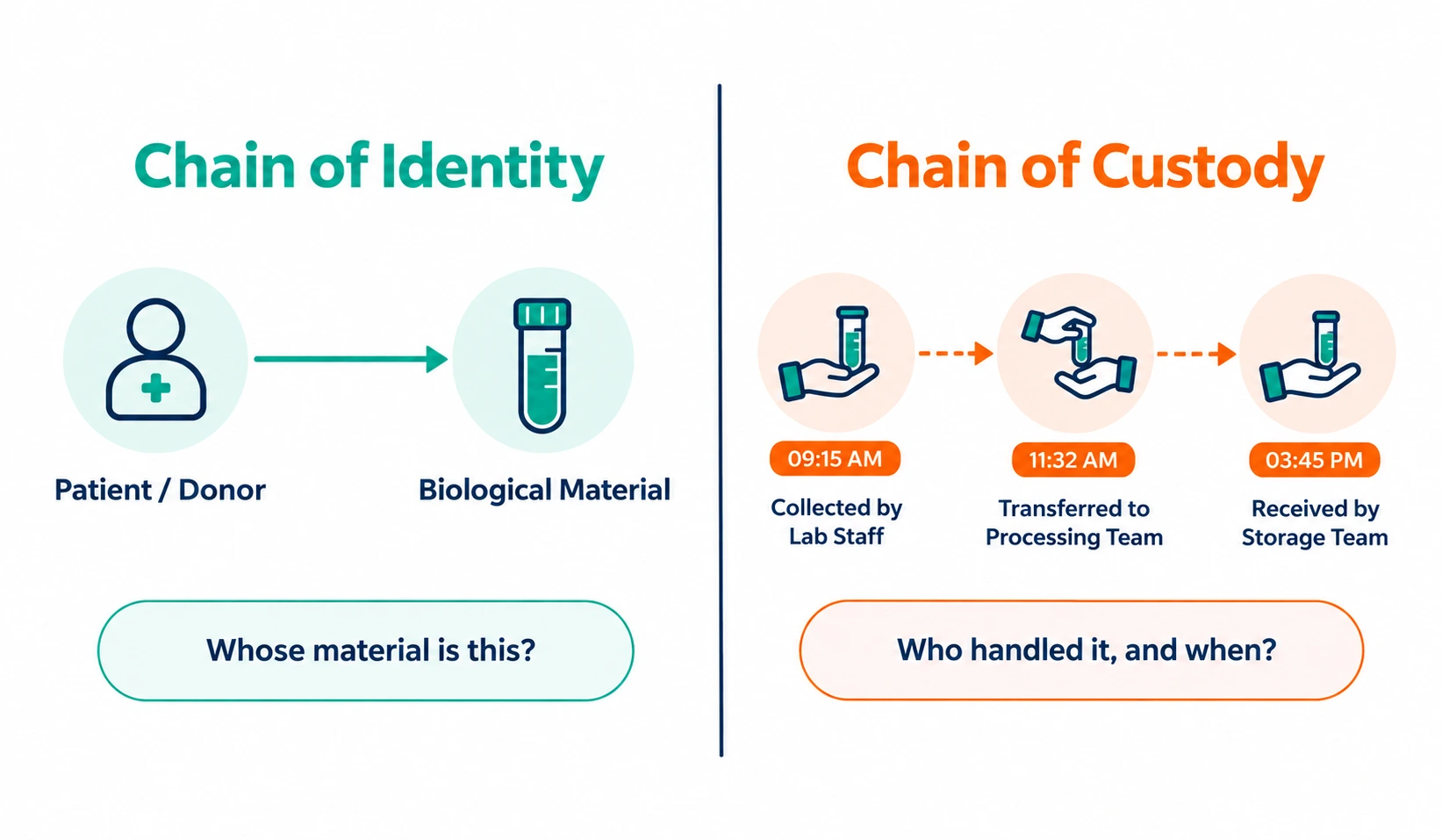 chain of identity vs chain of custody comparison
